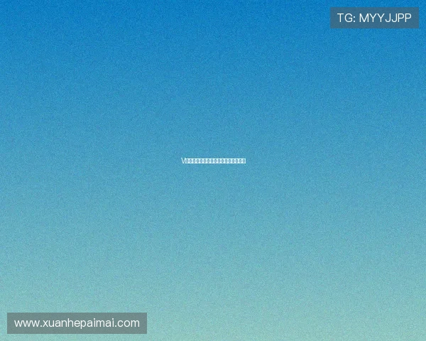 V站手游官网最新动态与独家情报全解析 V站手游官网最新动态与独家情报全解析